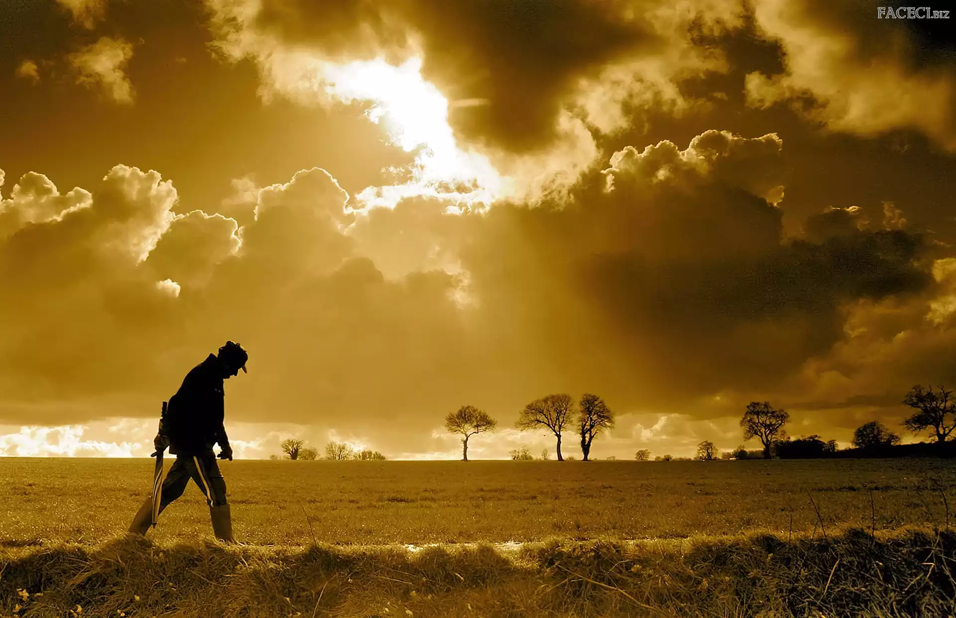 Mężczyzna, Chmury, Pola