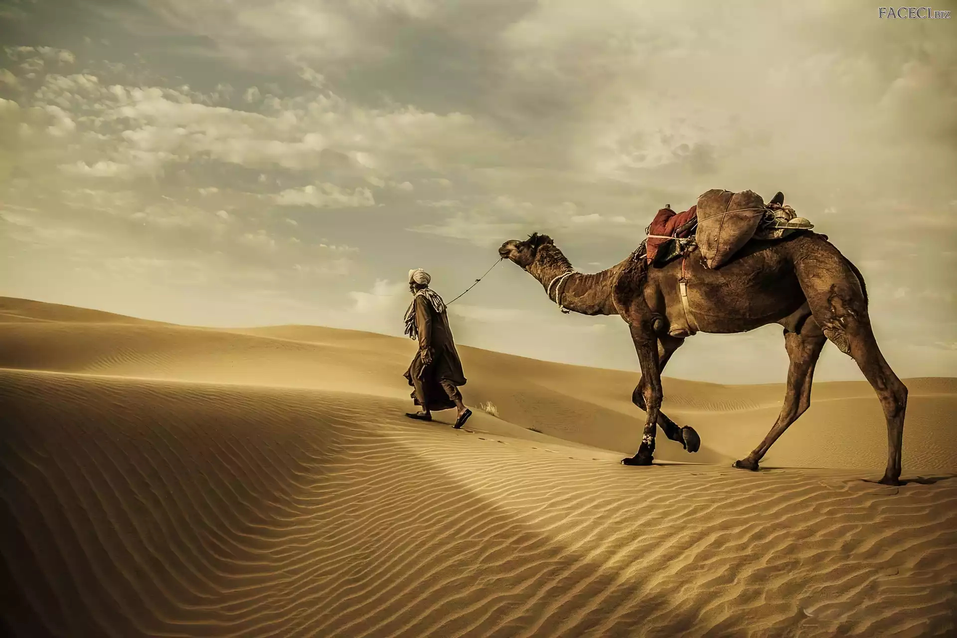 Piasek, Człowiek, Wielbłąd