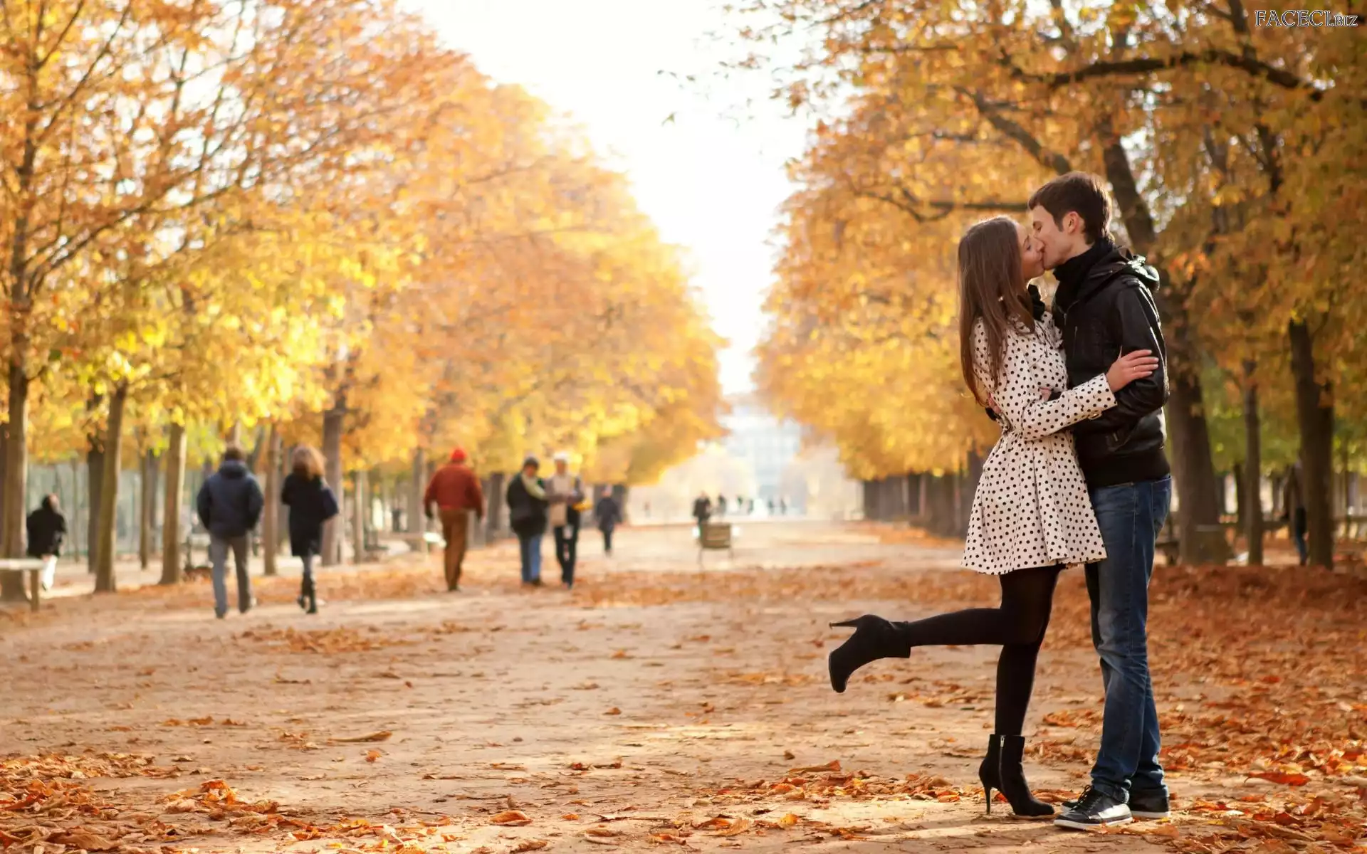 Liście, Park, Pocalunek, Mężczyzna, Alejka, Kobieta